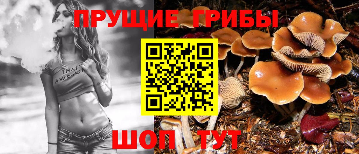 Галлюциногенные грибы Psilocybine cubensis  Псилоцибиновые грибы GOLDEN TEACHER  Вход с VPN  где купить наркоту  Новочебоксарск 